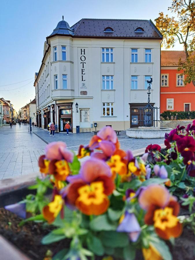 Hotel Domus Collis Gyor Bagian luar foto